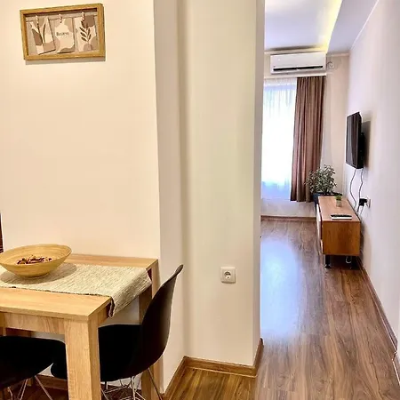 Apartment Dani Lux Center *